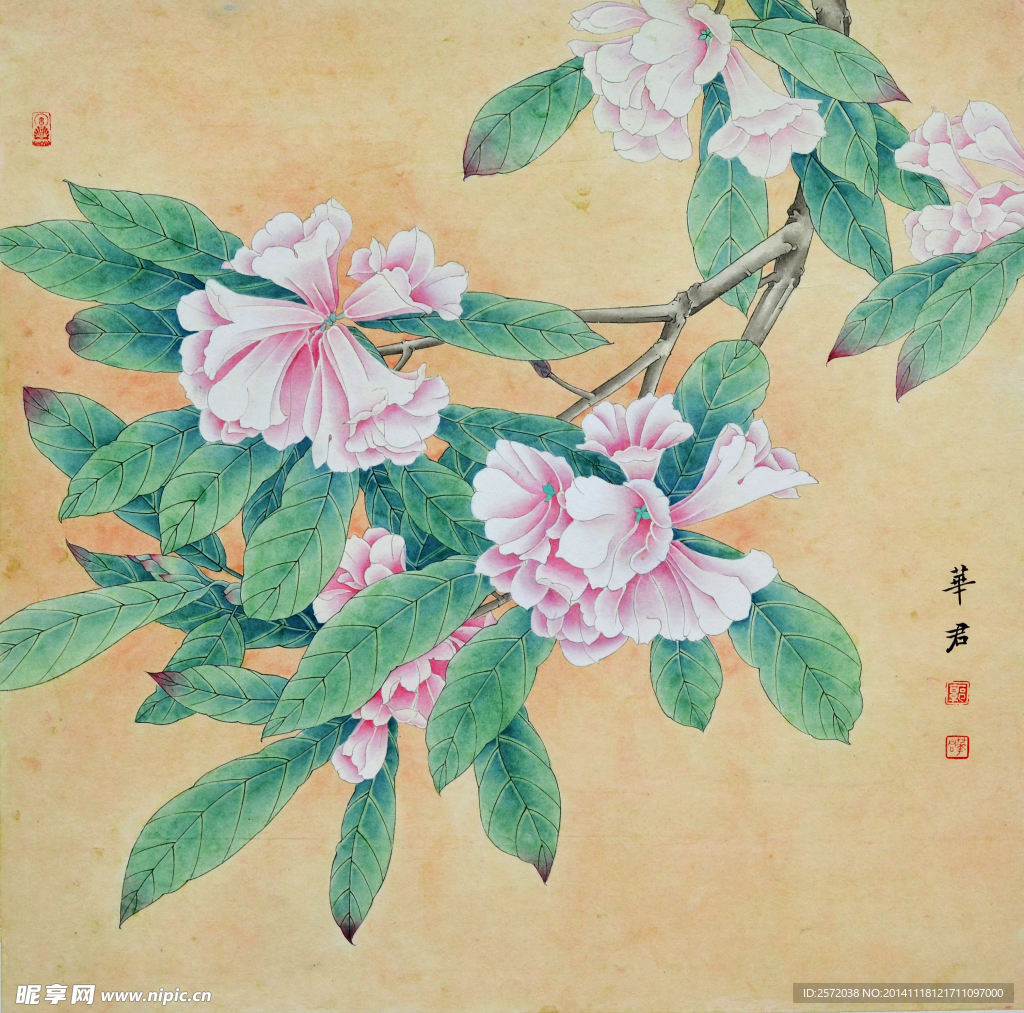 工笔花卉