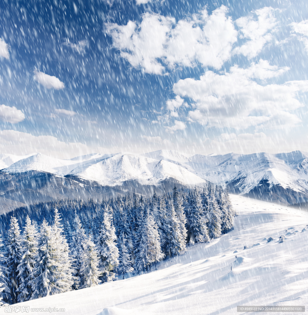 冬季雪景