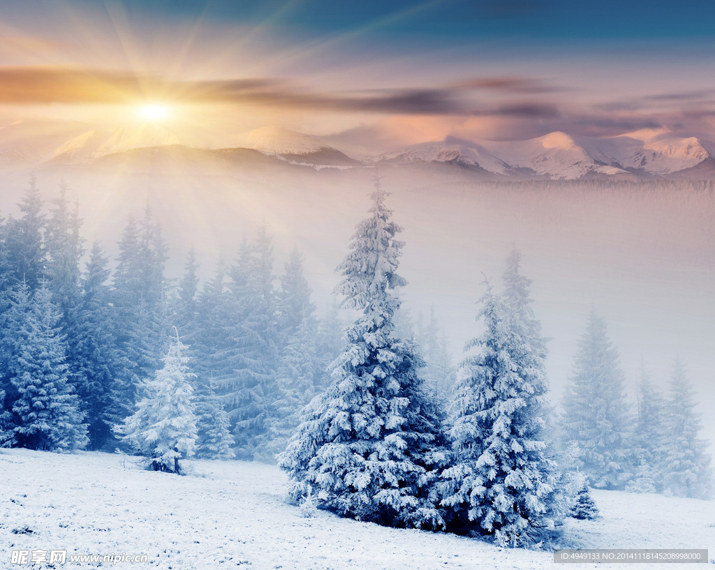冬季雪景
