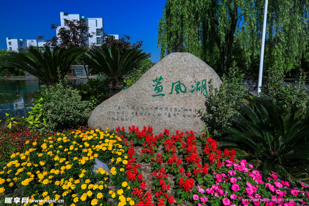 杭州师范大学