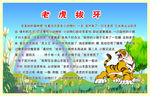 老虎拔牙
