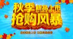 新品上市海报
