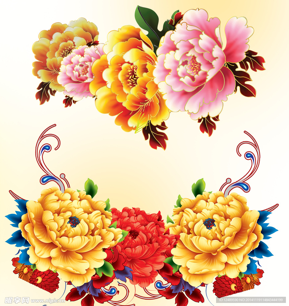 牡丹花