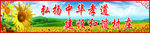 孝道 村建设