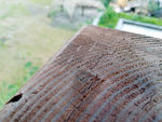 防腐木 木头 木纹