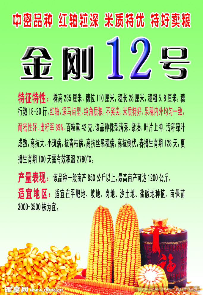 种子