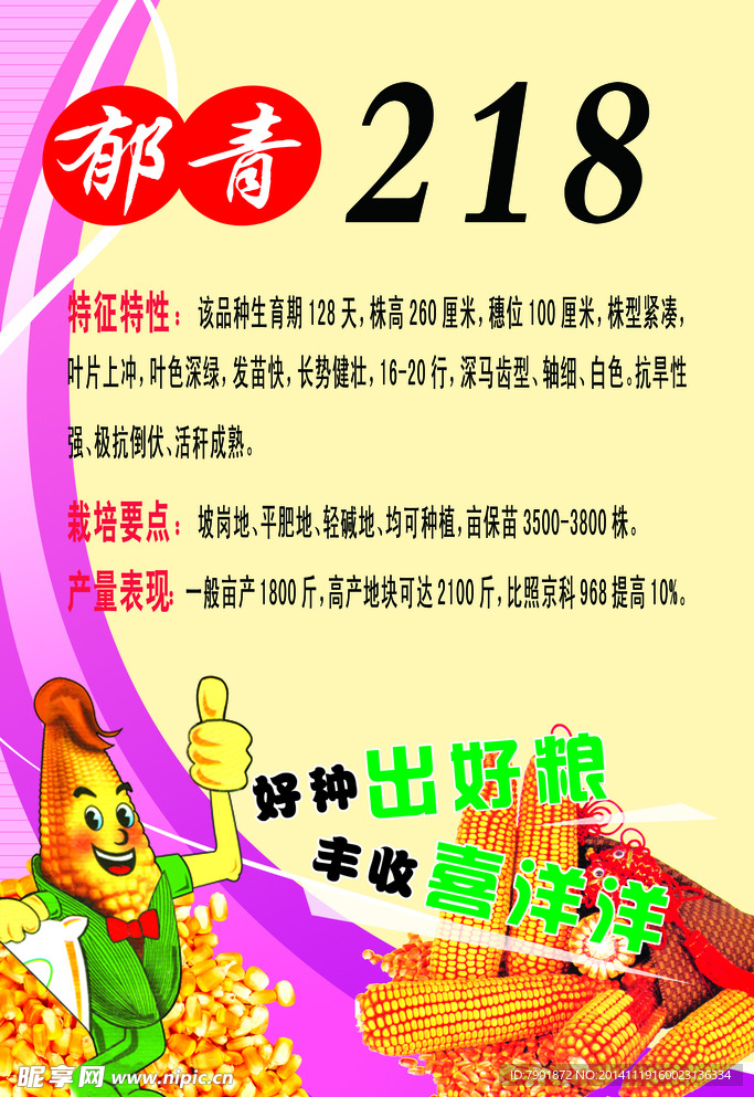 种子