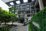 中国美术学院