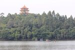 虎英公园