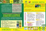 新时代国珍单页
