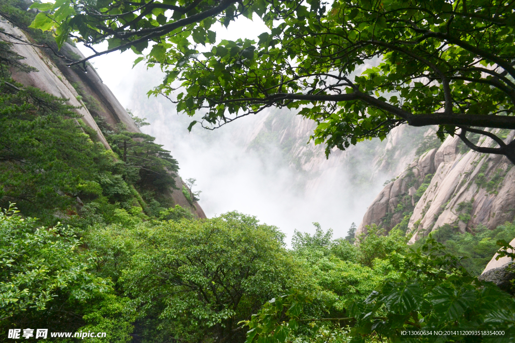 黄山 黄山顶峰  青山