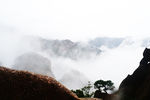 黄山 风景 黄山顶峰 