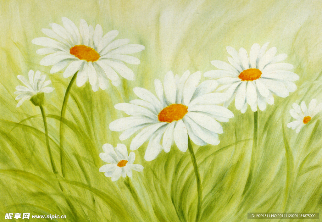 花卉油画
