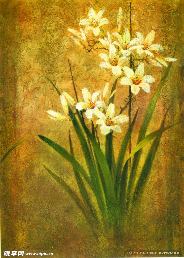 兰花油画
