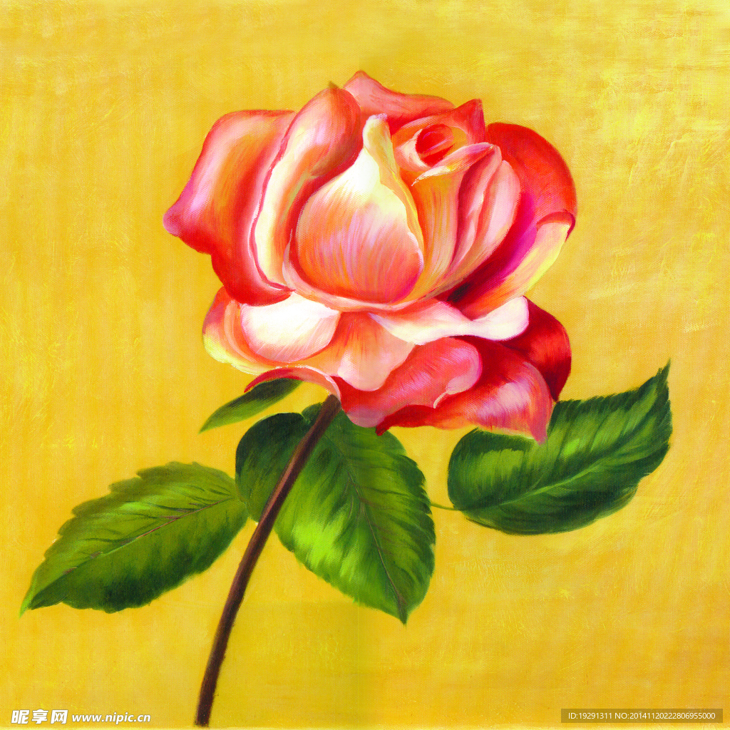 玫瑰花油画