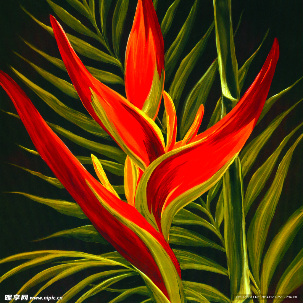 花卉油画