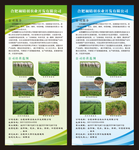 企业X展架