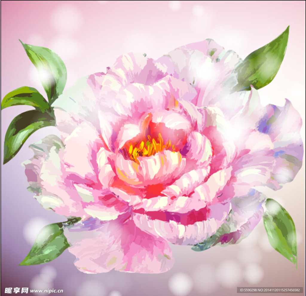 紫色牡丹花
