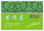 劝宝黄须菜标签