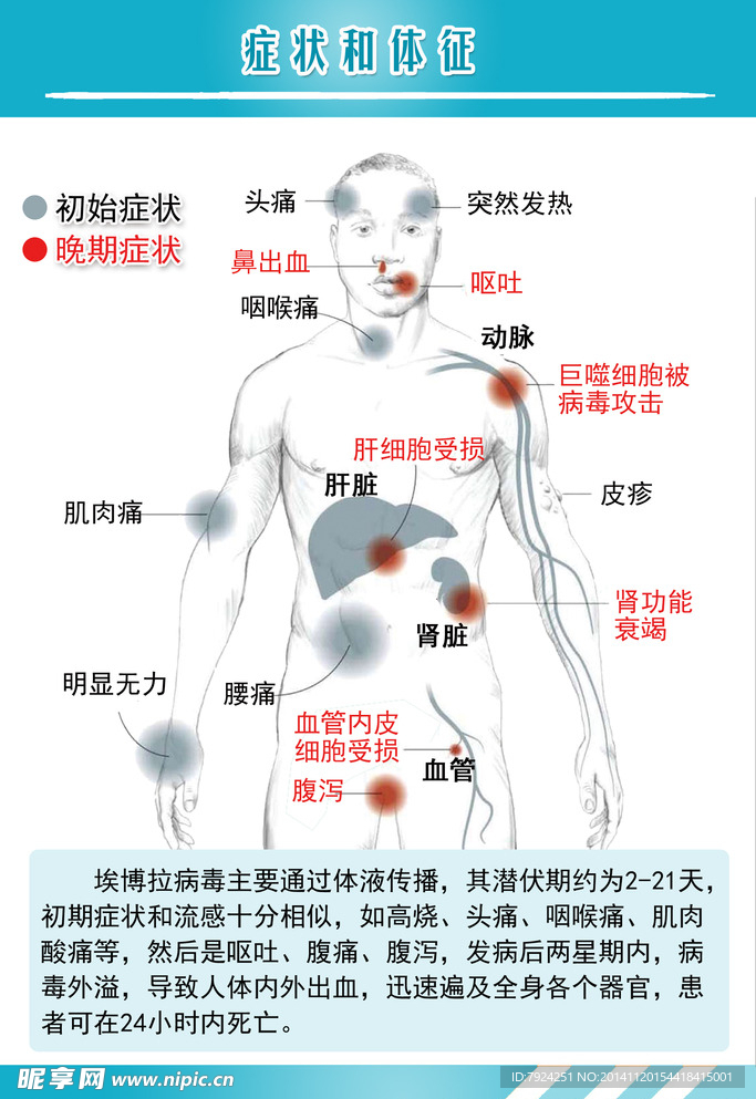 健康锻炼海报