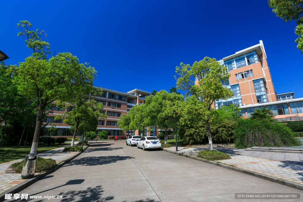 浙江理工大学