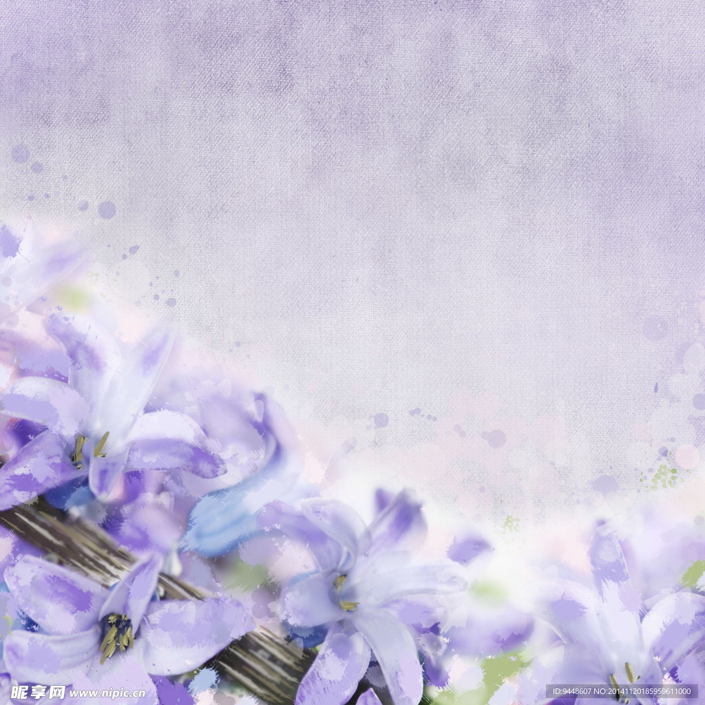 紫色百合花图片