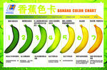 香蕉色卡 色带卡