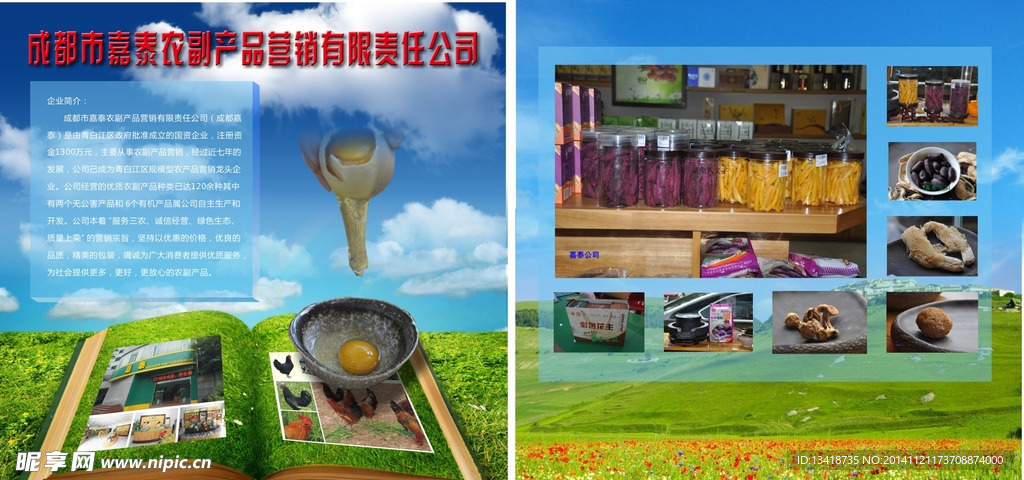 公司介绍