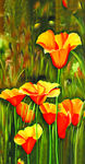 花卉油画