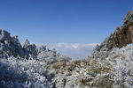冬天美景