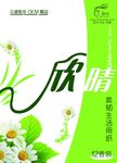 纸巾 套袋  绿色 心情