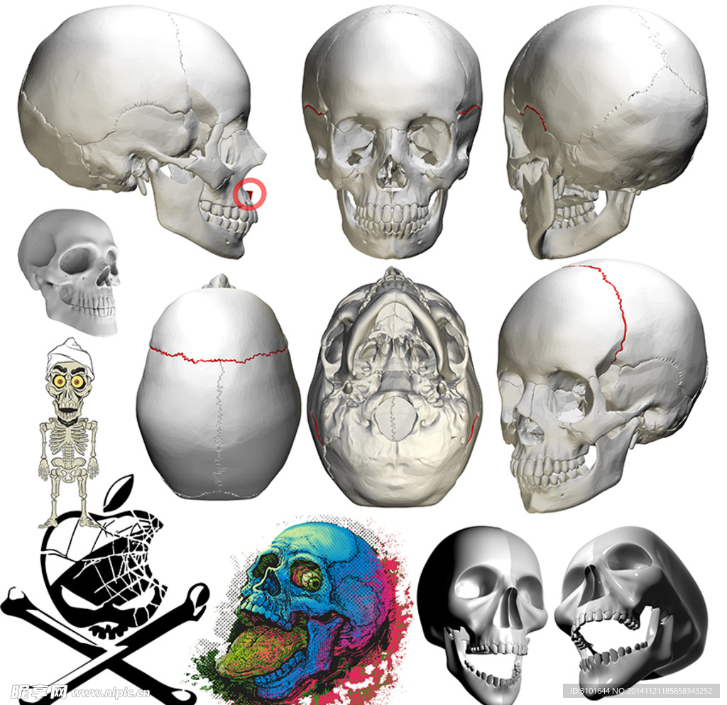 骷髅头素材
