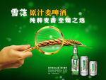 雪花源汁麦