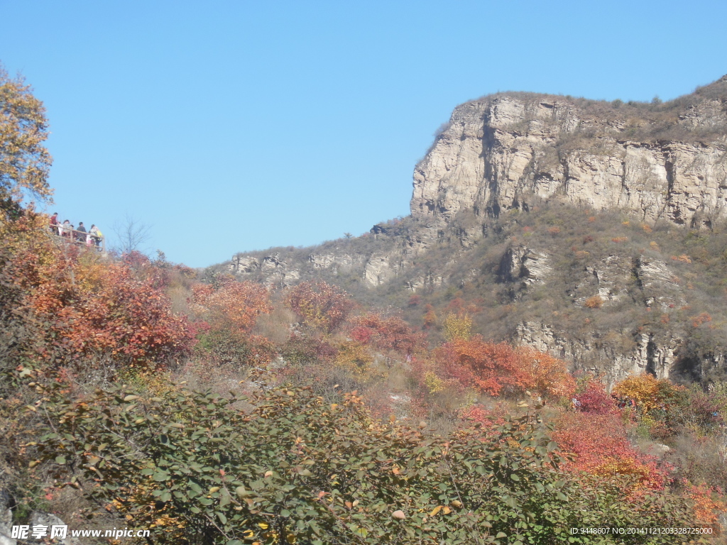 北京坡峰岭红叶