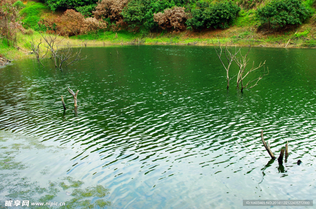 高山水库 水库风景