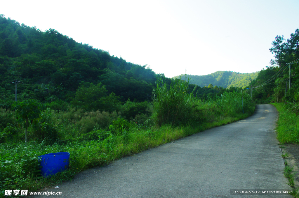 山水 深山柏油路