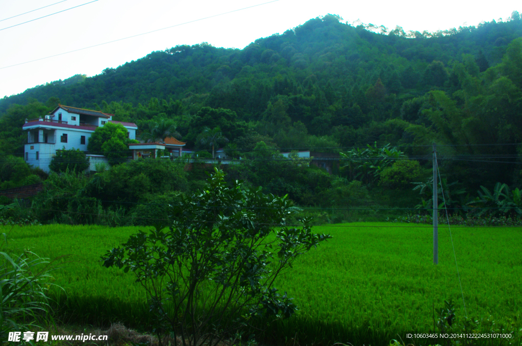 山水 深山田园