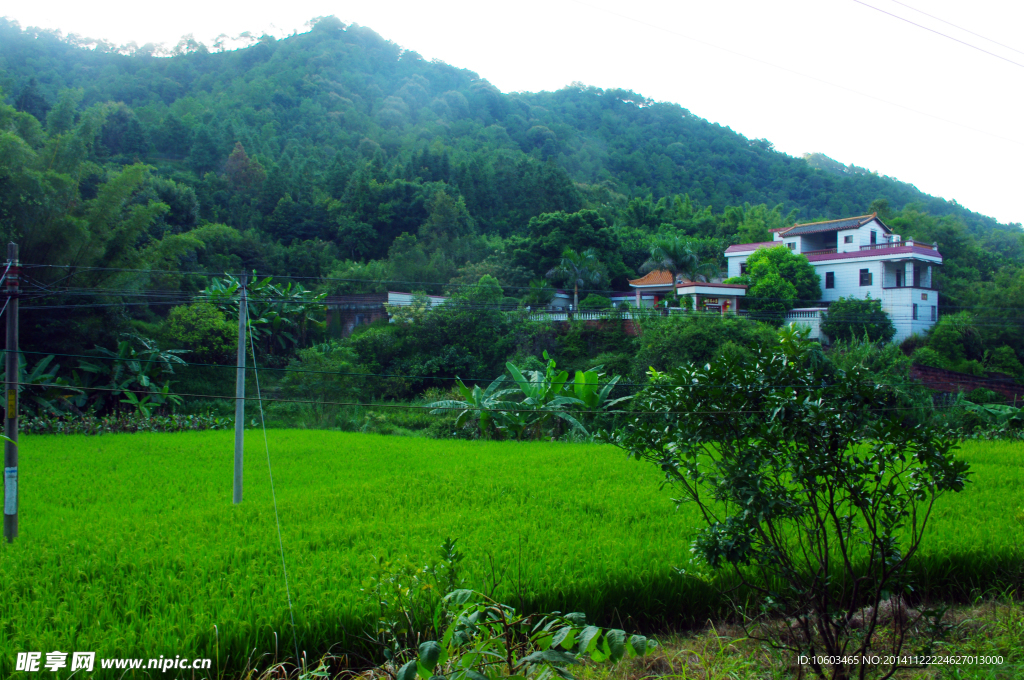 山水 深山田园