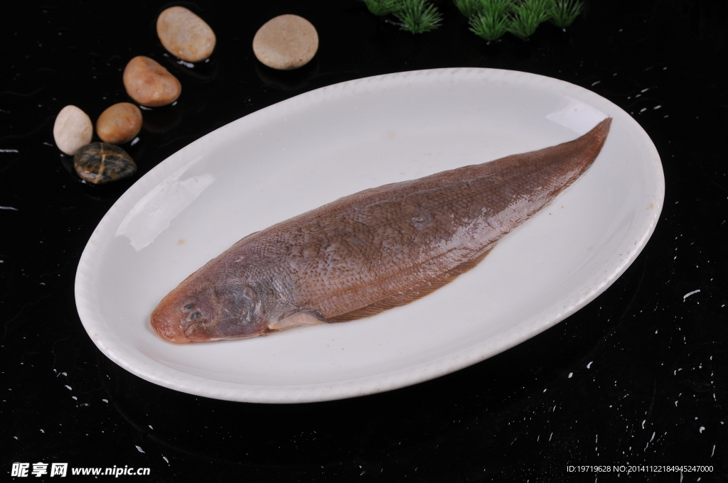 板鱼