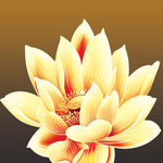 莲花矢量素材