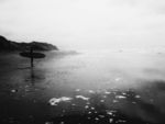 海滩