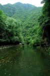 金丝大峡谷