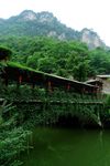 金丝大峡谷