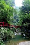 金丝大峡谷