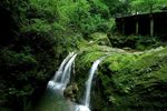 金丝大峡谷
