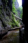 金丝大峡谷