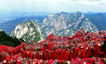 渭南华山