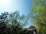西安青龙寺