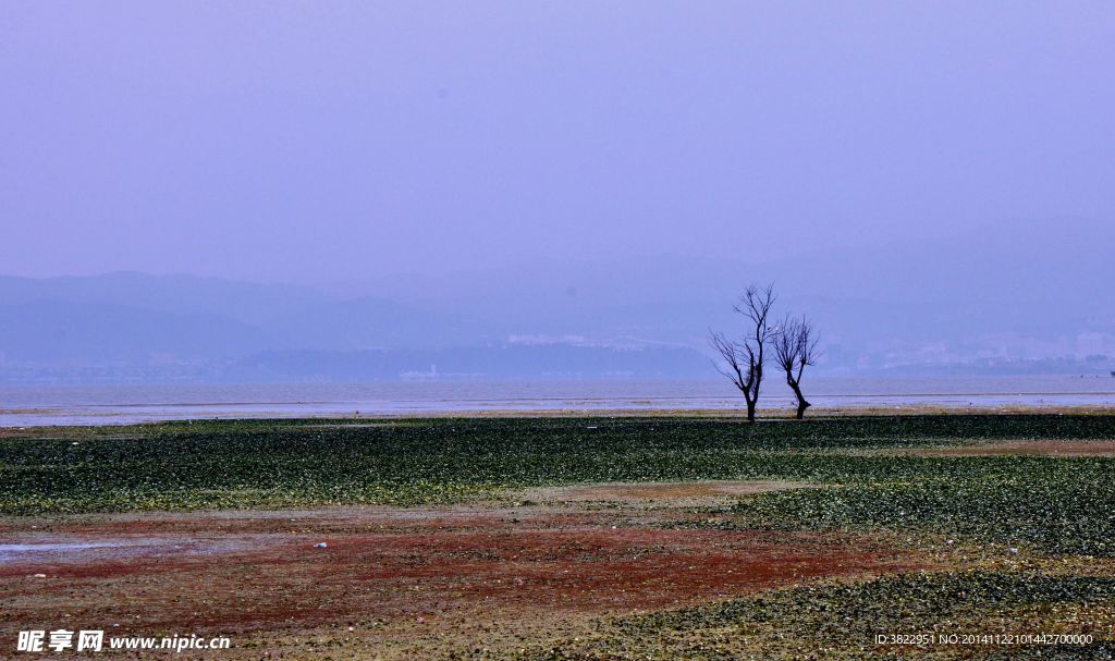 洱海风景