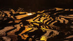 元阳梯田风景